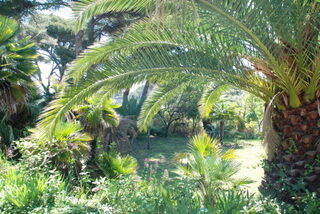 Du Port Vieux au MUGEL : sortie nature et patrimoine