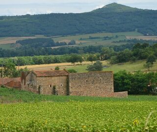 Maison forte de La Borie