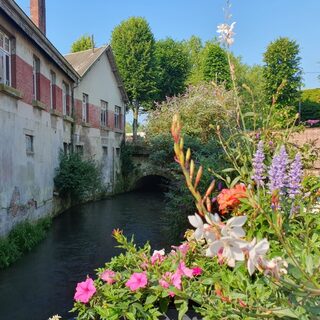 Visite 'au fil de la Canche'