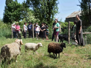 La Belle Affaire, la Grange du Viornay