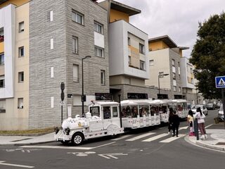 Petit-train : Laissez-vous conter le quartier de Grand-Pigeon