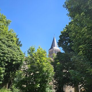 Visite du clocher de l'abbaye accompagné d'un guide