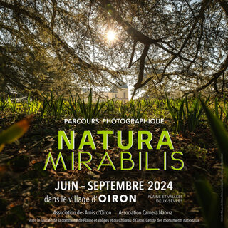 Natura Mirabilis : déambulation commentée autoure de l'exposition sur les mervei