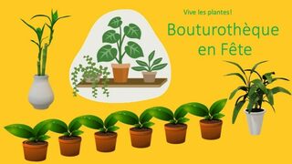 Bouturothèque en fête