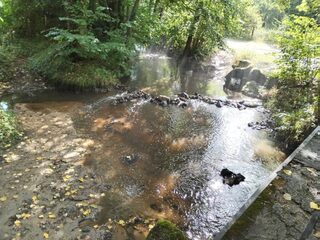 Histoires d'eau à Saint-Sandoux