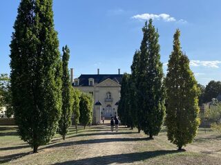 Visite guidée de la charpenterie et de sa tour d'observation