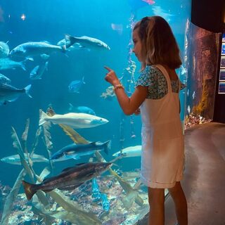 Visite guidée découverte de la pêche en mer