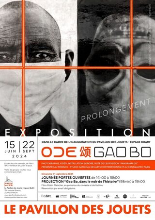 Expositions de l'artiste Gao Bo