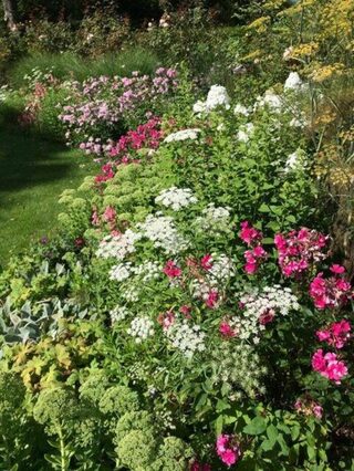 Fin de l'Été - Un Jardin en Ville