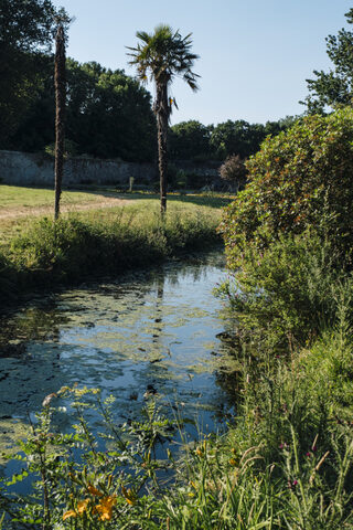 Au fil de l'eau - Découverte du réseau hydraulique du XVIIIe siècle au Manoir de