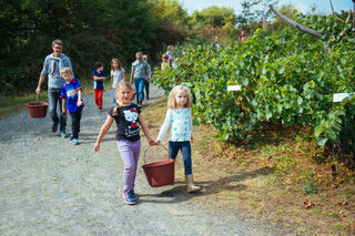 Vendanges en famille