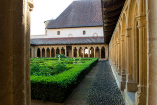 Visite libre de l'abbaye et de l'expo-dossier 