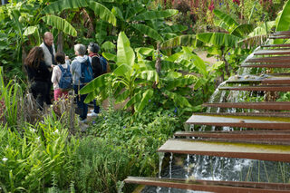 Visite : Les grands voyages des plantes à travers l'histoire