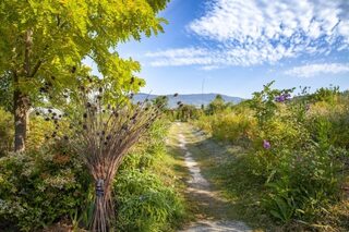 RENCONTRE DES CUEILLEUSES A LA PEPINIERE DES FLEURS D’EXCEPTION DU PAYS DE GRASS