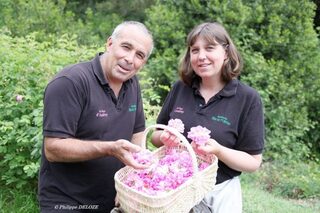 Découverte des plantes à parfum du Pays de Grasse et de leur transformation en c