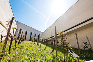 Visite libre du musée des savoir-faire du cognac