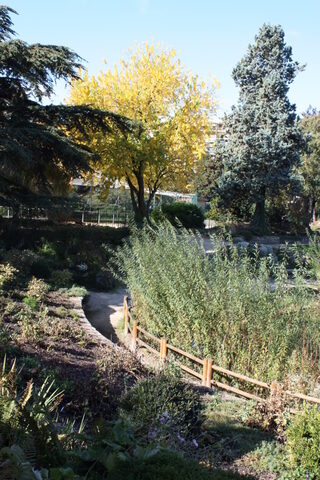 Visite du parc Georges Nouelle et du jardin géobotanique