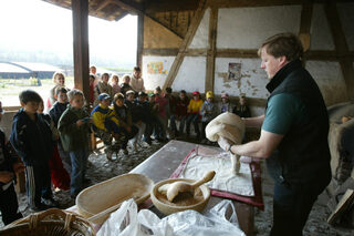 Atelier du grain au pain