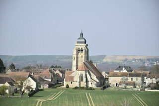 Visite de l'église Saint-Pierre-Saint-Paul de Chevannes