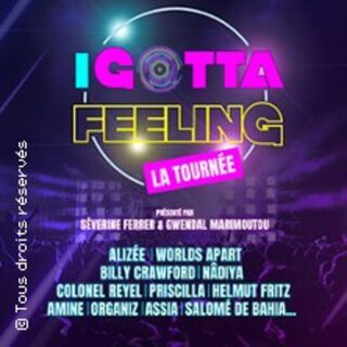 I Gotta Feeling - La Tournée