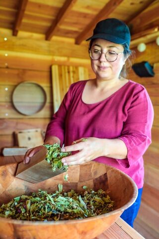 Visitez un séchoir solaire passif, la culture du Pastel, des plantes aromatiques