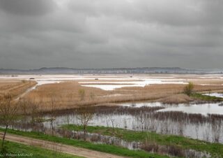 Balade commentée pour découvrir la zone Natura 2000 de Montels et de l’étang de 