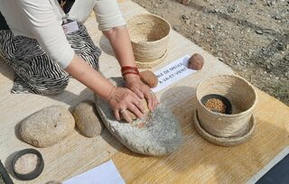 Atelier : « Archéo pour tous à Ruscino »