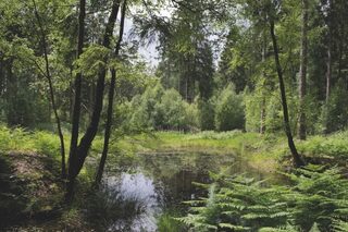 Exposition : mares de Normandie