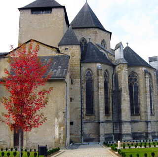 Visite guidée : « le quartier de la cathédrale et les débuts de l’art paléochrét