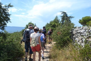 Sur les traces du Mur de la Peste