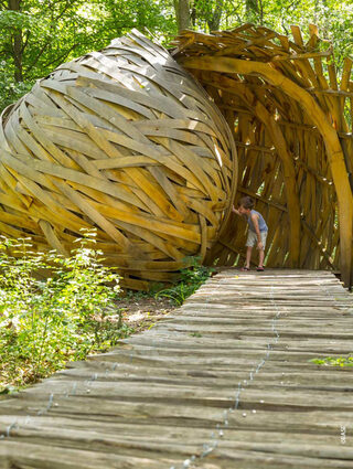 Les arbres remarquables du Parc de Lorient