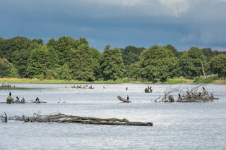 Découverte du patrimoine naturel de l'étang des Boucheries