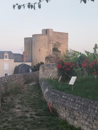 Partez à l'assaut des remparts de Thouars avec le Club Archéo !