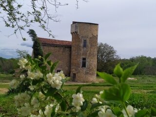 Visite guidée du château et animation compagnie : « traditions médiévales »