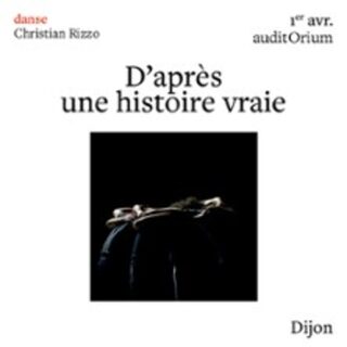 D'Après Une Histoire Vraie - Christian Rizzo