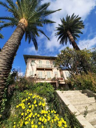 Création d'un paysage collaboratif à la manière de Matisse, avec le musée numéri