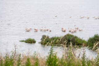 Visite guidée : « Le charme de la nature »