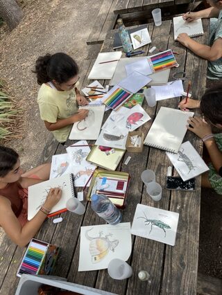 Atelier de dessin naturaliste pour une immersion artistique au cœur du parc