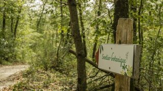 Arpentez le sentier botanique de Mauressac