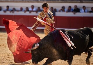 Suivez le guide à la découverte des nouvelles arènes de Béziers !