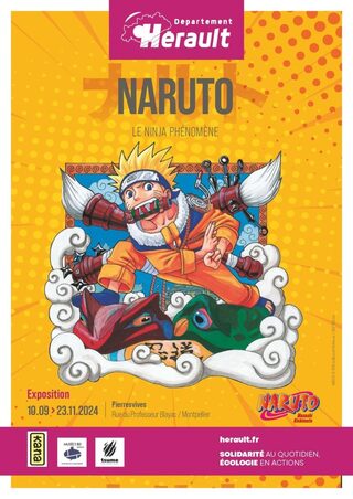 NARUTO, LE NINJA PHENOMENE