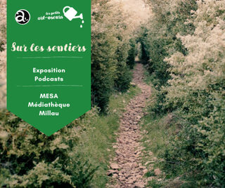 Exposition : « Sur les sentiers »