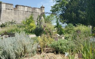 Visite du jardin ethnobotanique « les Terrasses du Bosquet »