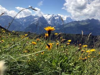 Rencontre au jardin de l'écologie et du paysage