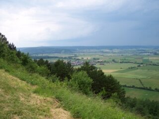 Levez les yeux : le patrimoine naturel et la biodiversité des côtes de Meuse