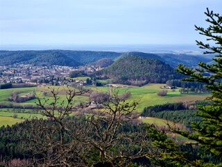 JOURNÉES DU PATRIMOINE - BALADE SUR LES ARBRES REMARQUABLES DANS LE MASSIF DE L'