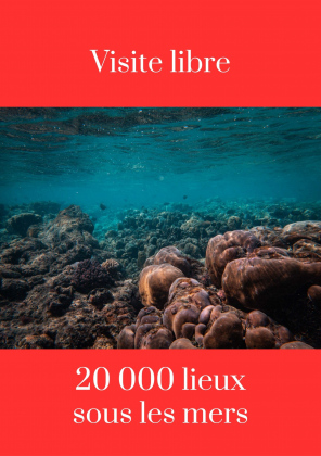 Visite libre : 20 000 lieux sous les mers