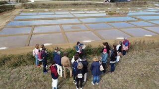 Visite commentée du marais salant