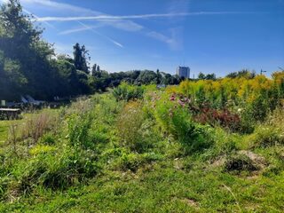 Journées du Matrimoine - Visite ferme florale