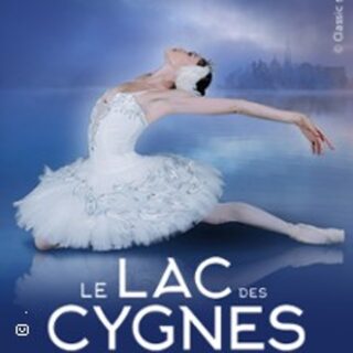 Le Lac Des Cygnes